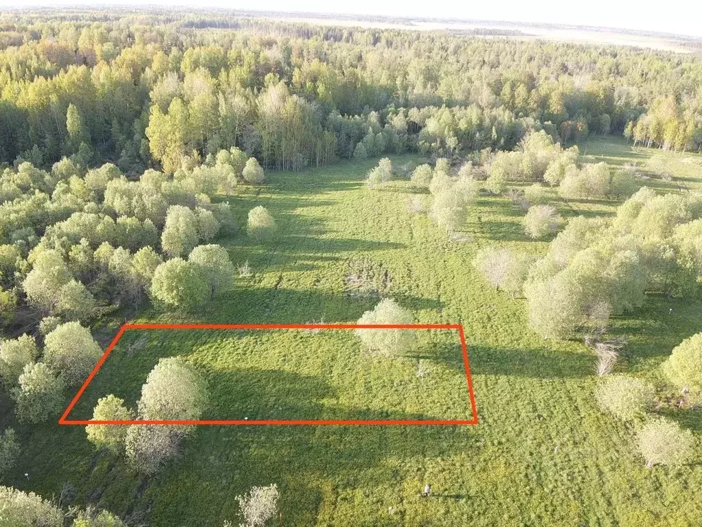 Участок в Ленинградская область, Всеволожский район, Куйвозовское ... - Фото 1