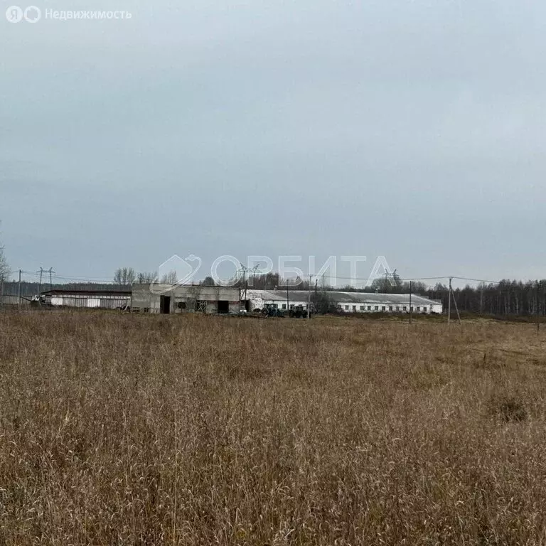 Участок в Тюменский муниципальный округ, село Щербак (9383 м) - Фото 0