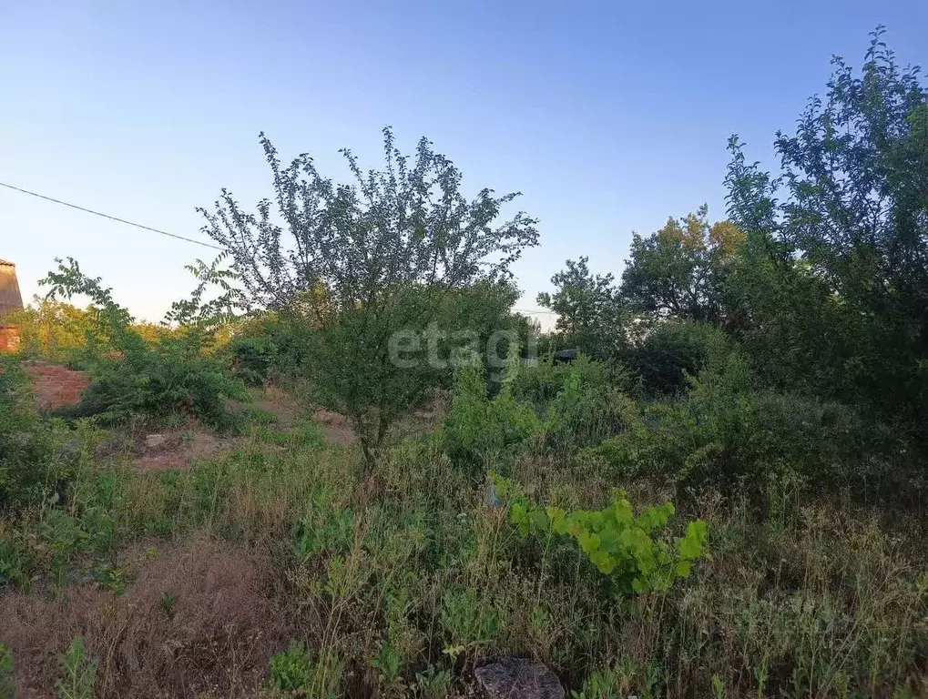 Участок в Краснодарский край, Ейск Восход СНТ,  (5.0 сот.) - Фото 1