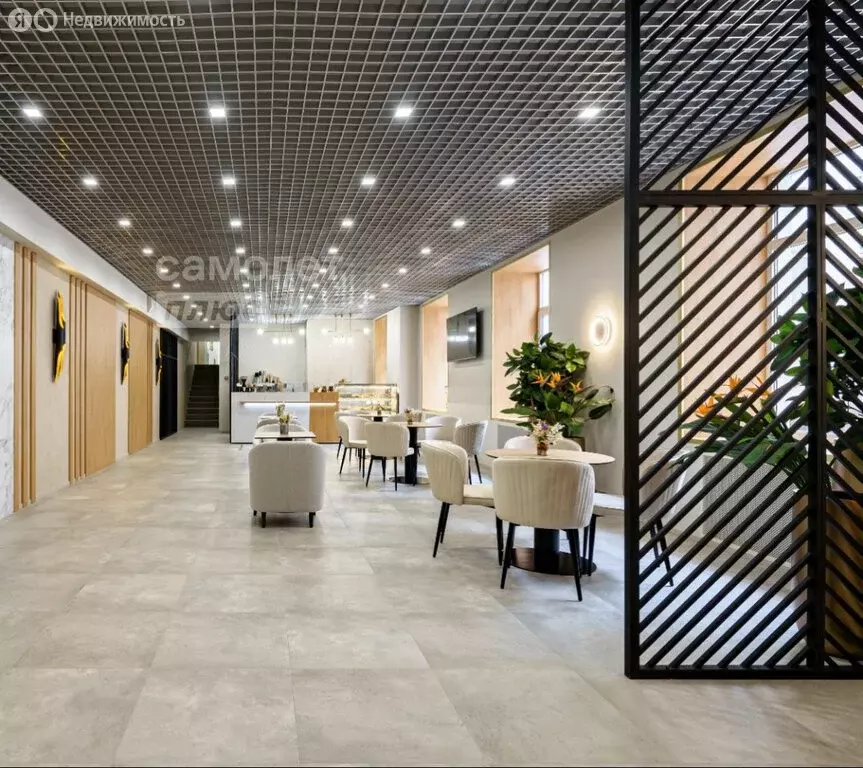 Офис (32.6 м) - Фото 2