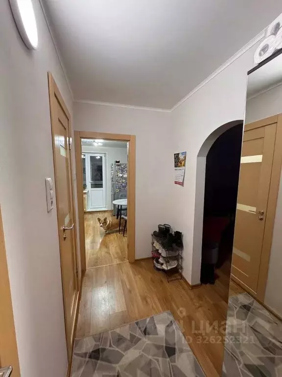 1-к кв. Псковская область, Псков Ипподромная ул., 131 (35.6 м) - Фото 1