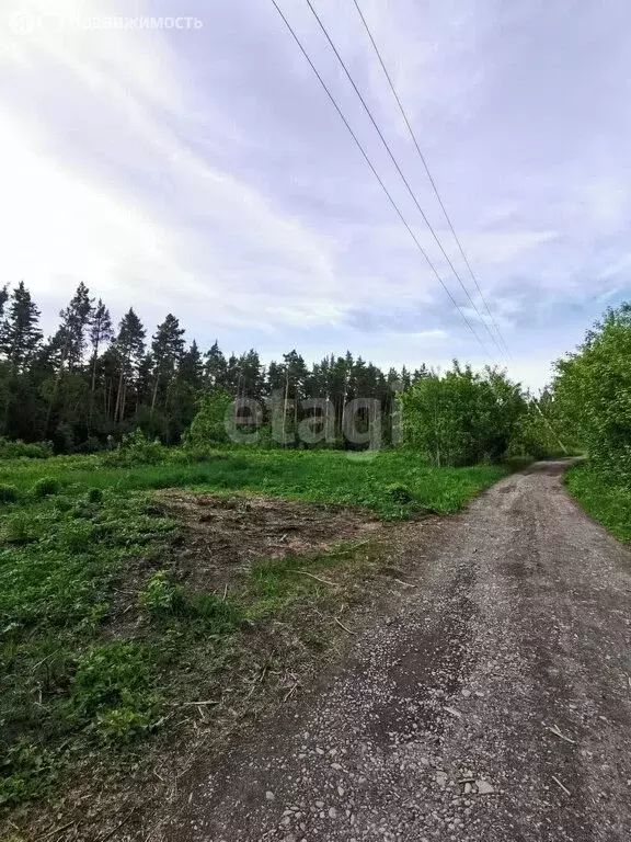 Участок в посёлок Усть-Катунь, Заводская улица (25 м) - Фото 1