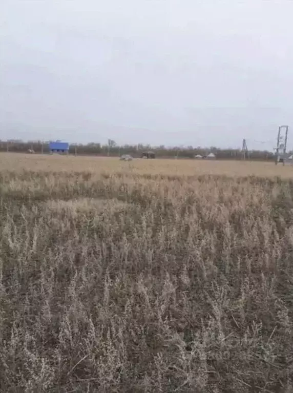 Участок в Башкортостан, Абзелиловский район, Краснобашкирский ... - Фото 2