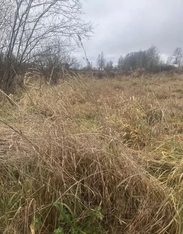 Участок в Ленинградская область, Тосненское городское поселение, д. ... - Фото 1