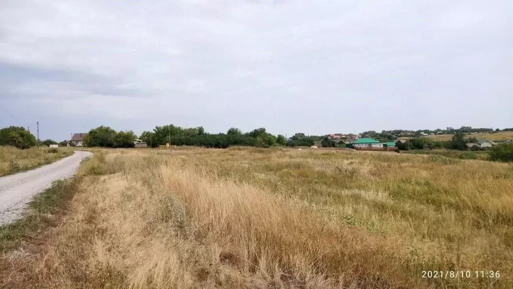 Участок в Воронежская область, Каширский район, Можайское с/пос  ... - Фото 1