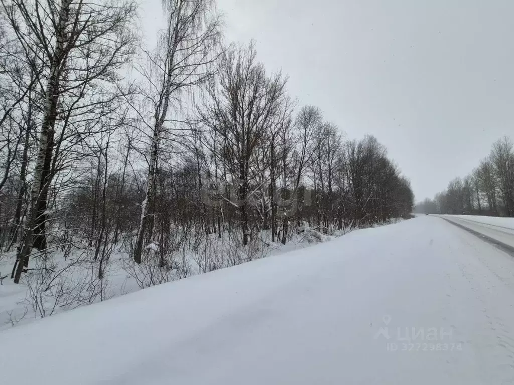 Участок в Ярославская область, Некрасовский муниципальный округ, д. ... - Фото 2