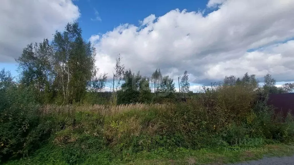 Участок в Московская область, Дмитровский муниципальный округ, с. ... - Фото 1