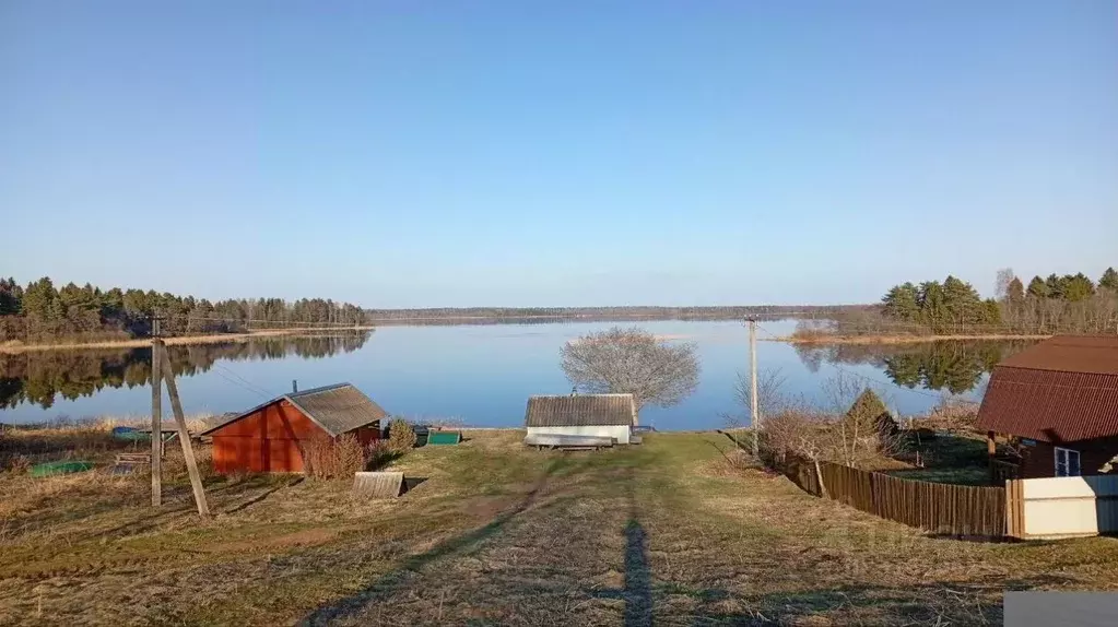 Участок в Новгородская область, Демянский муниципальный округ, д. ... - Фото 0