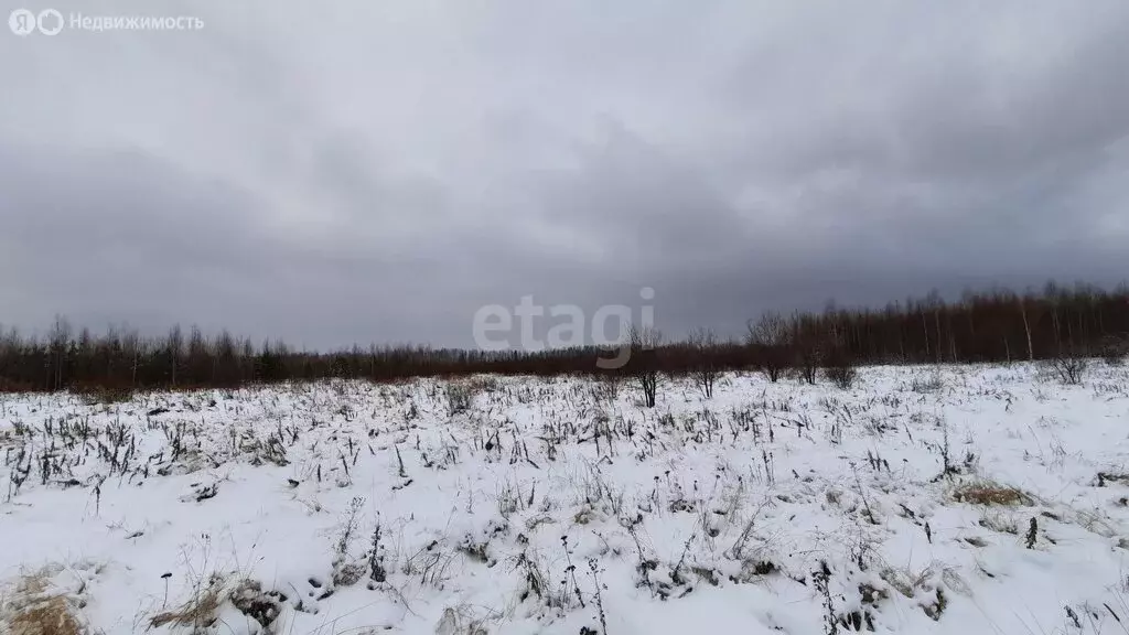 Участок в Свердловская область, Нижняя Салда (22.2 м) - Фото 1