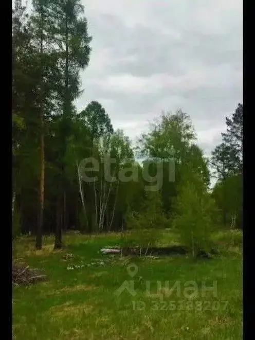 Участок в Красноярский край, Емельяновский муниципальный округ, д. ... - Фото 2