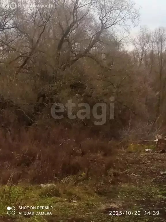 Участок в Рузаевский район, село Куликовка (7.5 м) - Фото 2