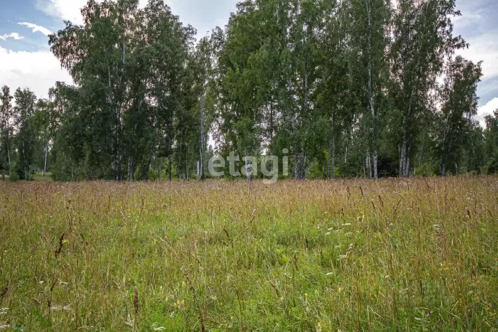 Участок в Новосибирская область, Новосибирский район, Каменский ... - Фото 1