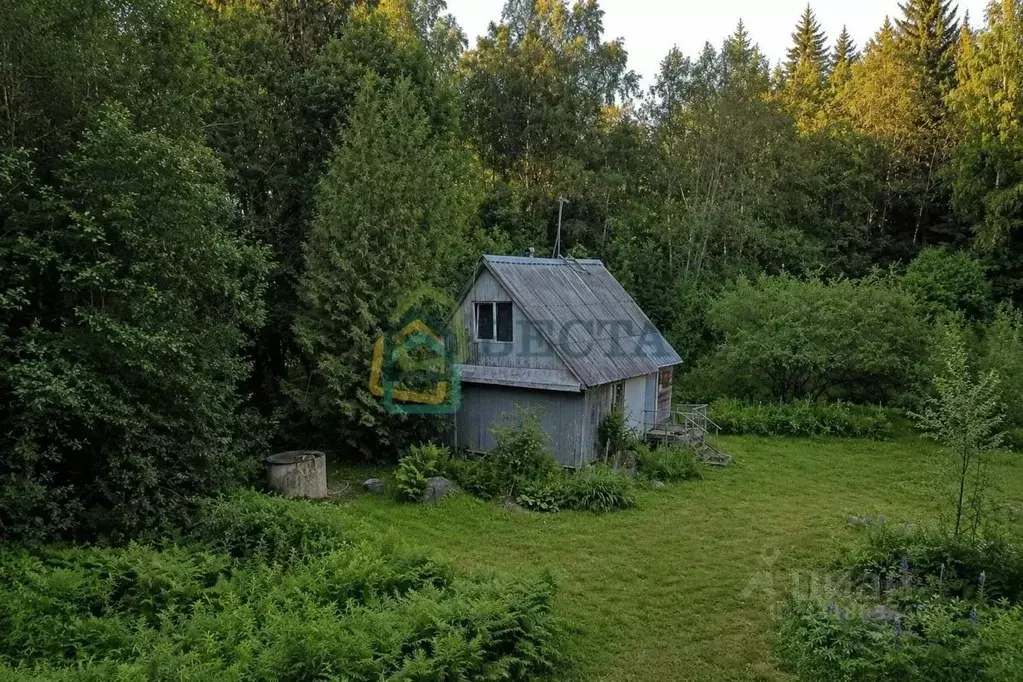 Участок в Ленинградская область, Выборгский район, Первомайское с/пос ... - Фото 2