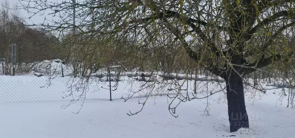 Участок в Московская область, Чехов  (15.0 сот.) - Фото 2