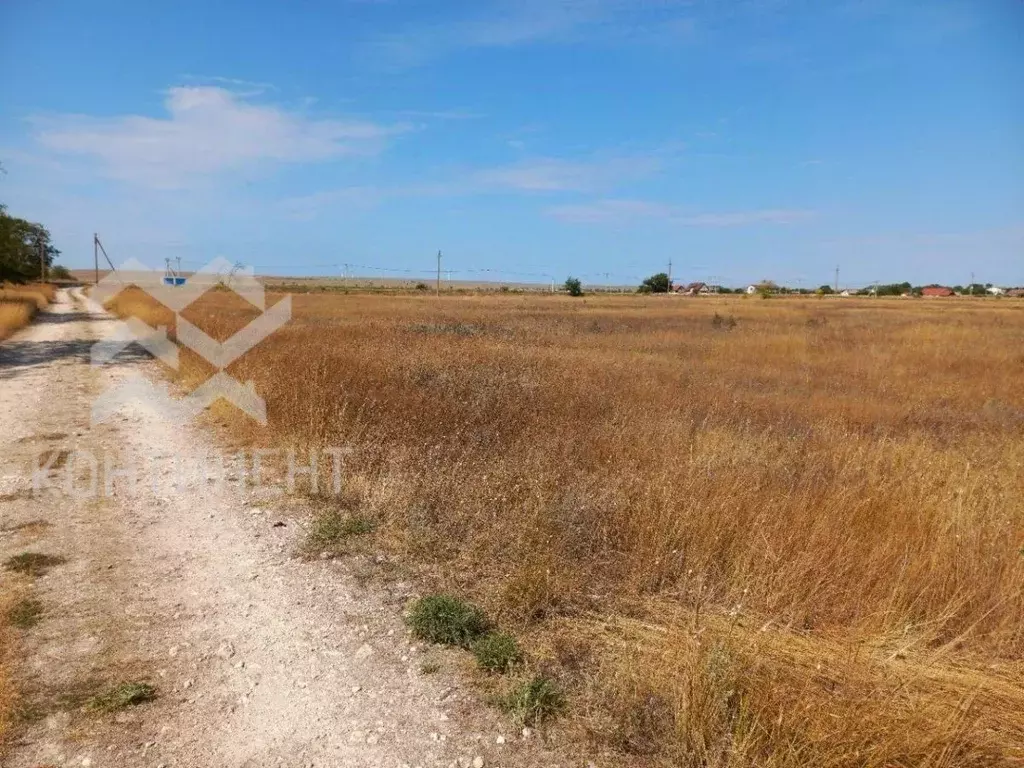 Участок в Крым, Черноморский район, с. Окуневка ул. Западная (6.0 ... - Фото 1