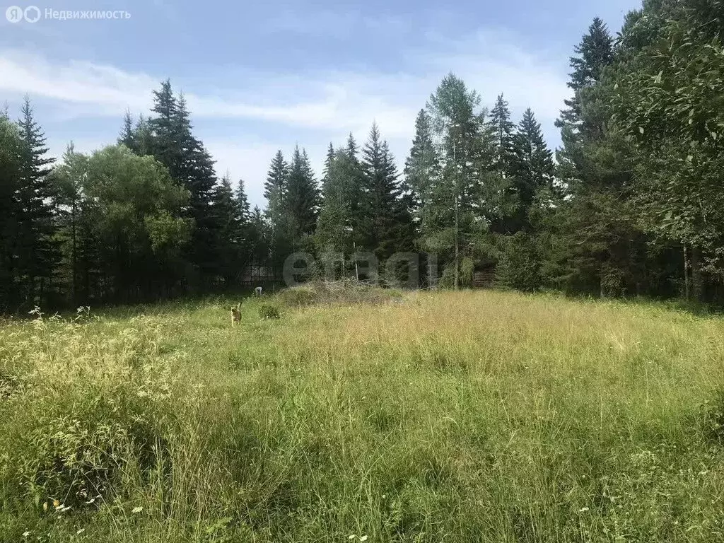 Участок в Листвянка, улица Островского (7.7 м) - Фото 0