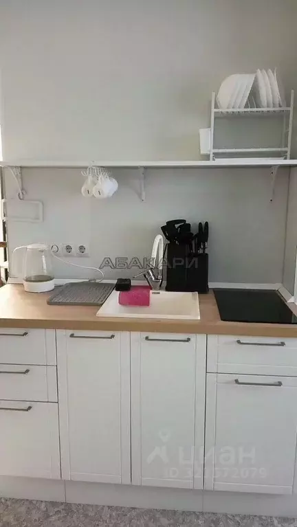 2-к кв. Красноярский край, Красноярск ул. Лесников, 43Б (30.0 м) - Фото 0