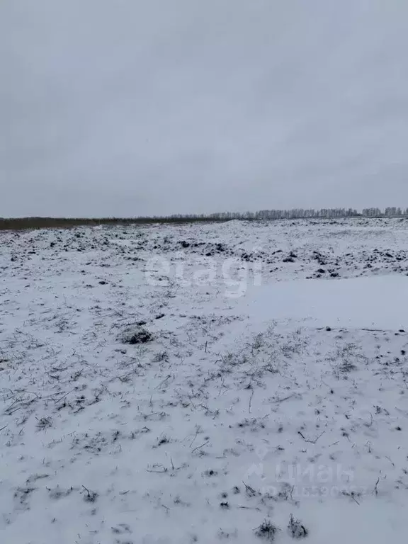 Участок в Белгородская область, Белгородский район, Головинское с/пос, ... - Фото 0