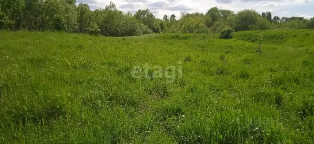 Участок в Алтайский край, Белокуриха ул. Нижняя (15.1 сот.) - Фото 1