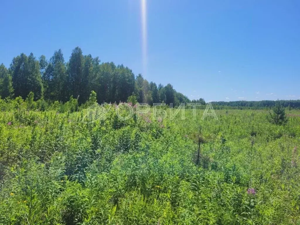 Участок в Тюменская область, Тюменский район, с. Кулига, Кулига-2 мкр  ... - Фото 1