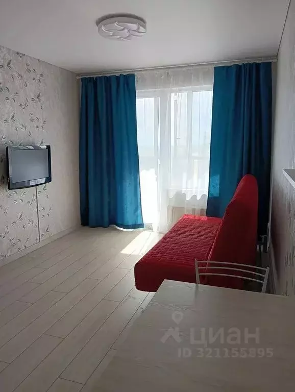 Студия Новосибирская область, Новосибирский район, Мочищенский ... - Фото 1