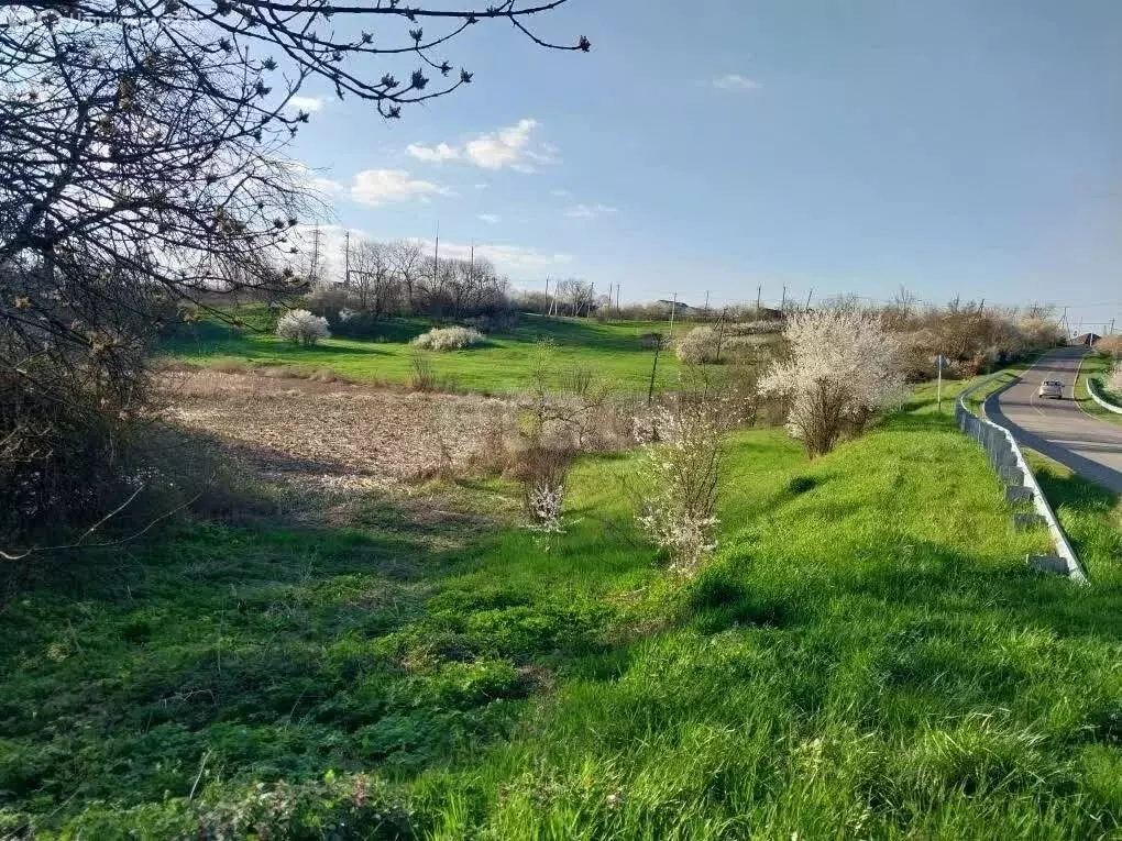 Участок в станица Кужорская, улица Островского (12 м) - Фото 2