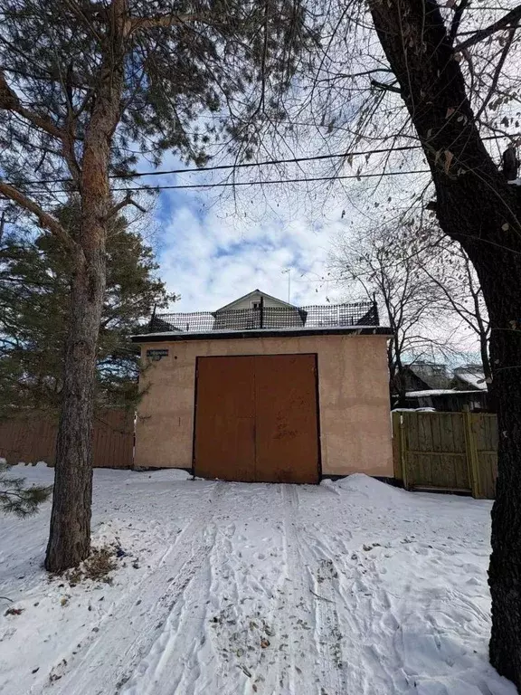 Дом в Амурская область, Ивановский муниципальный округ, с. Березовка ... - Фото 2