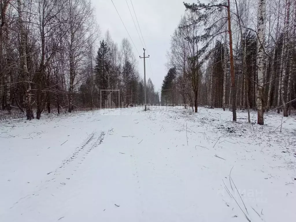 Участок в Владимирская область, Ковровский район, Новосельское с/пос, ... - Фото 2