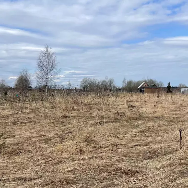 Участок в Ленинградская область, Волосовский район, Большеврудское ... - Фото 1