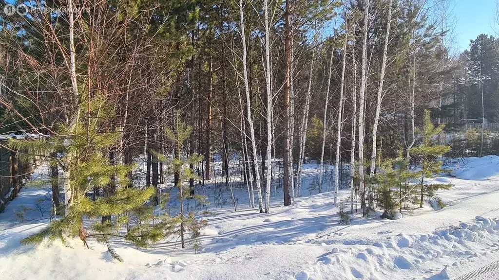 Участок в Баклашинское муниципальное образование, село Введенщина, ... - Фото 1