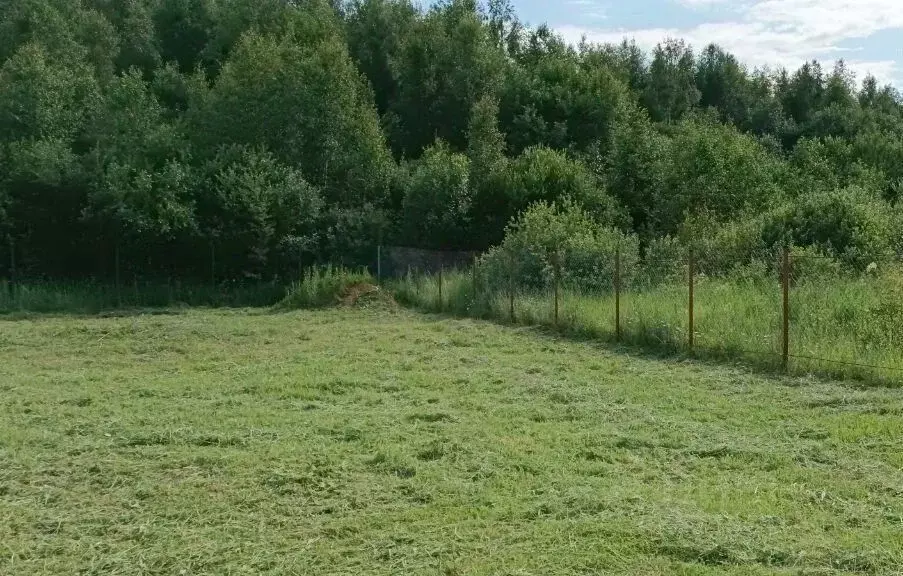 Участок в Московская область, Волоколамский муниципальный округ, ... - Фото 1