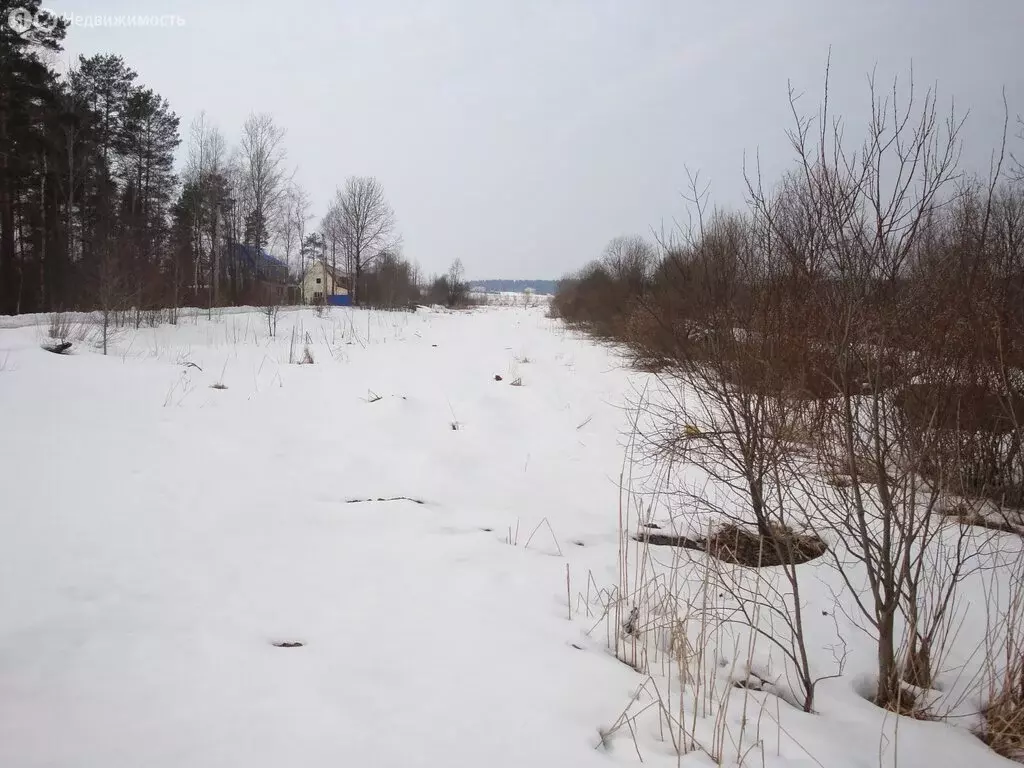 Участок в Ленинградская область, 41К-308 (4.6 м) - Фото 0
