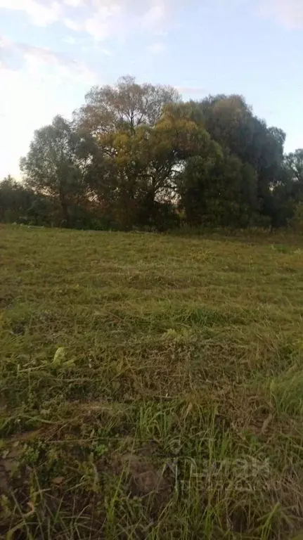 Участок в Московская область, Можайский муниципальный округ, с. ДНП ... - Фото 2