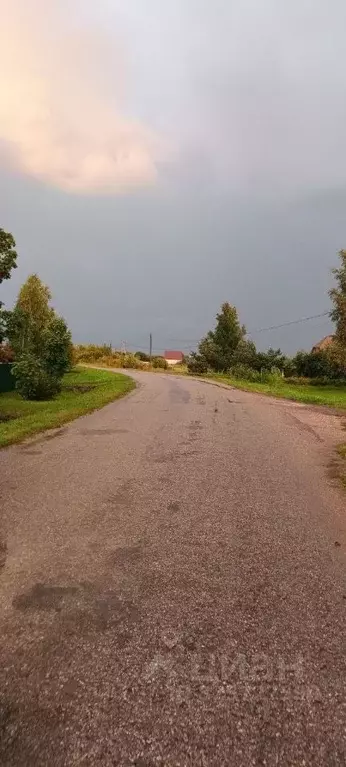 Участок в Новгородская область, Старорусский район, Наговское с/пос, ... - Фото 2