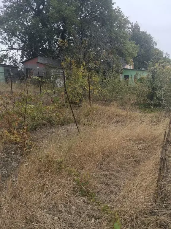 Участок в Волгоградская область, Краснослободск Среднеахтубинский ... - Фото 1