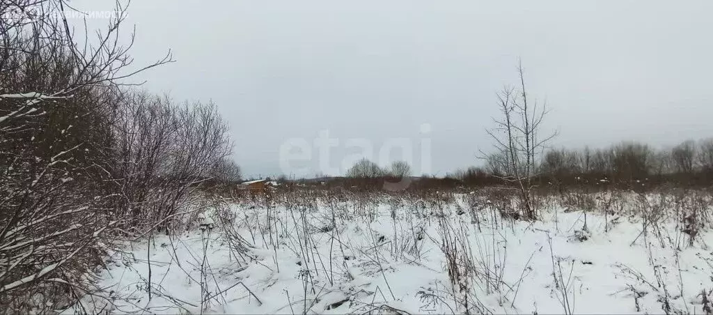 Участок в Костромской район, Бакшеевское сельское поселение, деревня ... - Фото 1