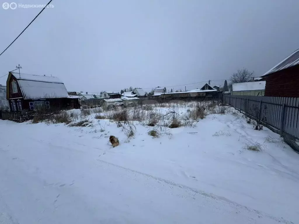 Участок в Новосибирская область, Коченёвский муниципальный район, ... - Фото 2