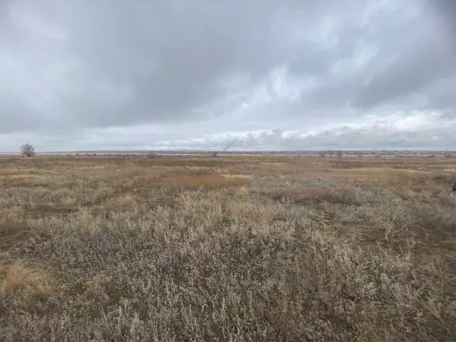 Участок в Волгоградская область, Волгоград ул. Беловежская (8.0 сот.) - Фото 1