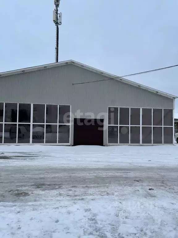 Помещение свободного назначения в Псковская область, Псков ул. ... - Фото 1