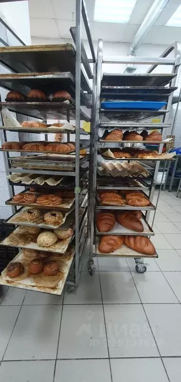 Производственное помещение в Забайкальский край, Чита ул. Генерала ... - Фото 1