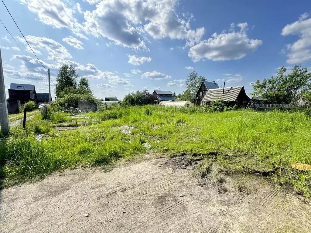 Участок в Тюменская область, Тюмень Электрон СНТ, ул. Серебряная, 31 ... - Фото 0