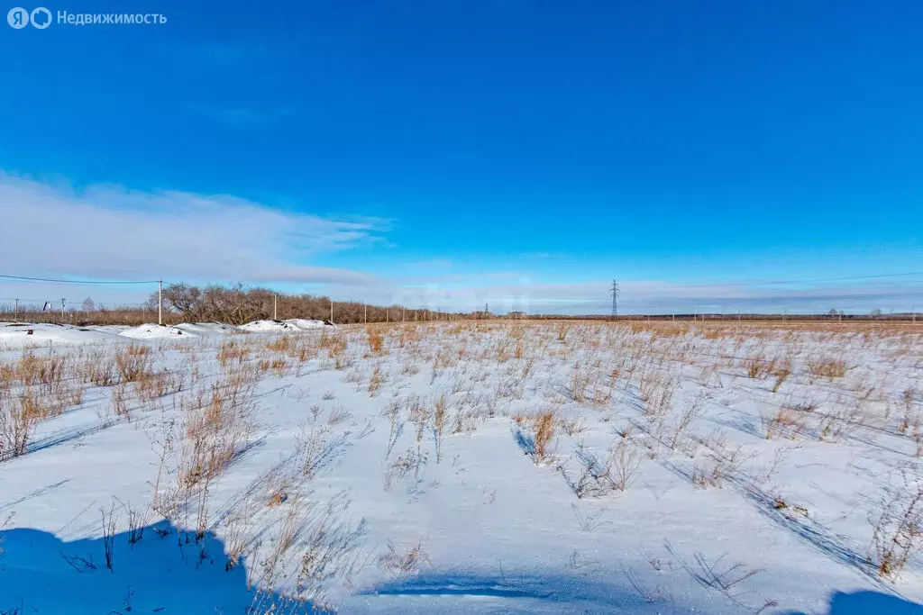 Участок в муниципальный округ Омский район, село Надеждино (160.58 м) - Фото 2