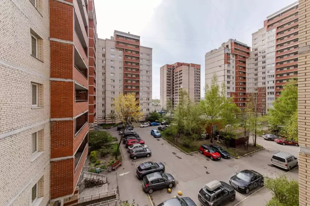 3-к кв. Санкт-Петербург Бухарестская ул., 146к3 (80.1 м) - Фото 1
