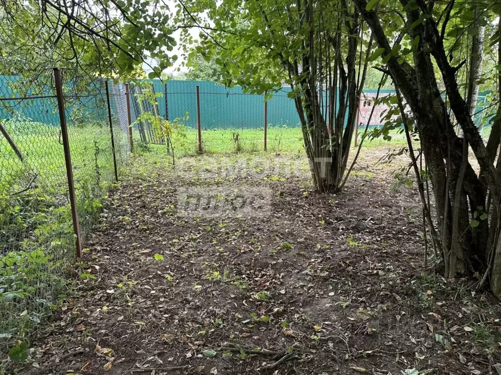 Участок в Московская область, Одинцовский городской округ, Чайка СНТ ... - Фото 1