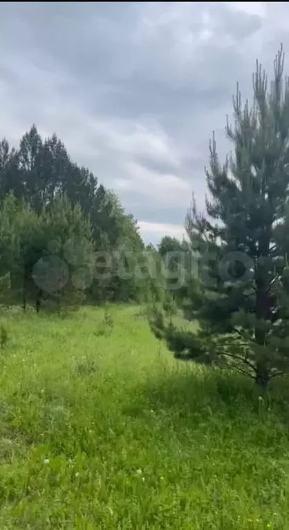 Участок 8,5 сот. (СНТ, ДНП) - Фото 1
