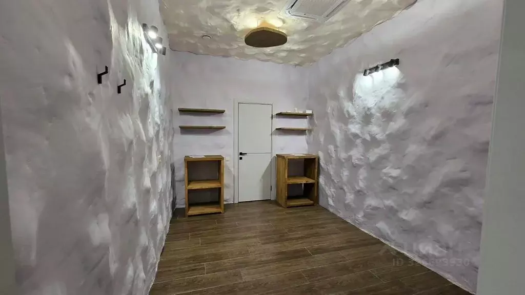 Помещение свободного назначения в Краснодарский край, Сочи Красная ... - Фото 2