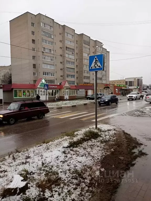 Помещение свободного назначения в Московская область, Луховицы ул. ... - Фото 1