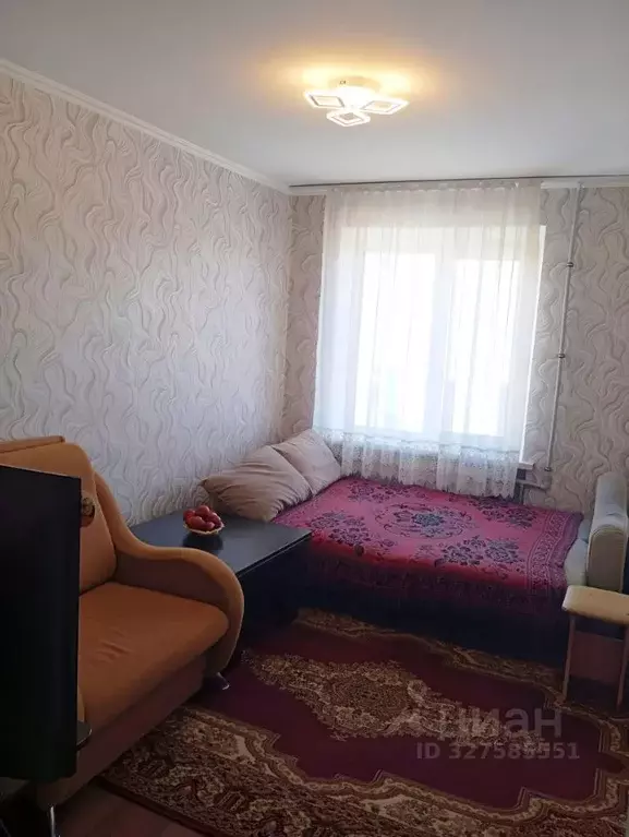 2-к кв. Краснодарский край, Новороссийск ул. Видова, 188 (22.7 м) - Фото 1