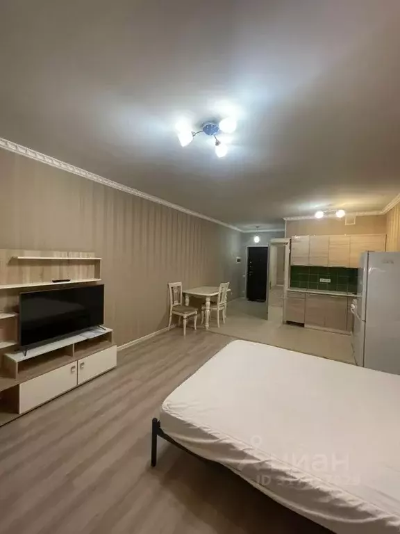 Студия Московская область, Одинцовский городской округ, с. Немчиновка ... - Фото 1