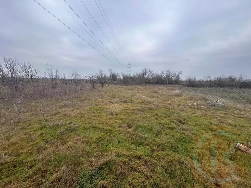 Участок в Крым, Сакский район, с. Орехово  (5.0 сот.) - Фото 0